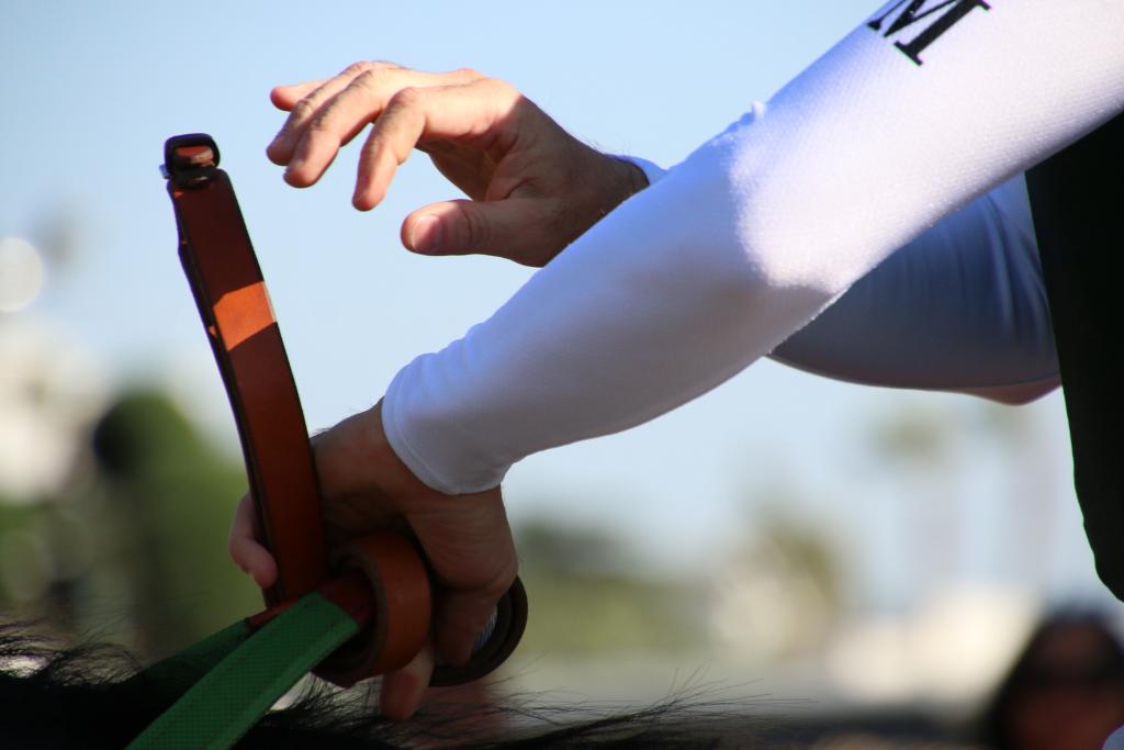 Brice Blanc tying reins into a knot. (Julie June Stewart photo)